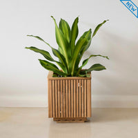 Palermo Planter Box