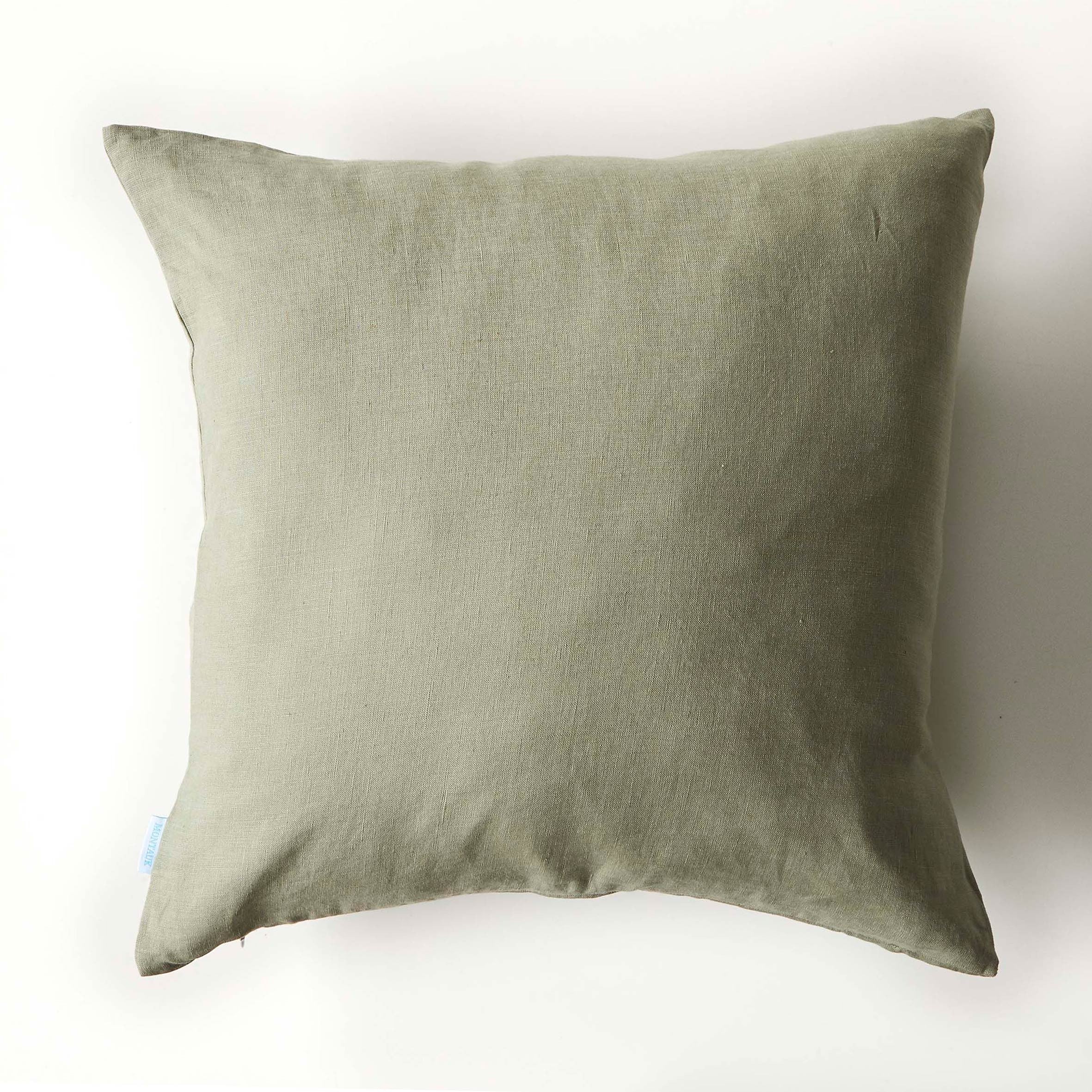Cactus Cushion